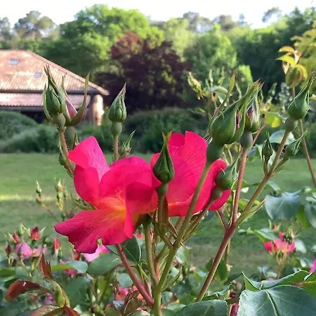 Oda ve Kahvaltı D'hotes A Pontonx